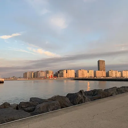 Nori Tv Ostende